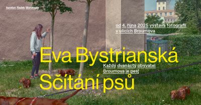 Sčítání psů - Eva Bystrianská